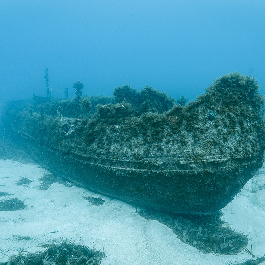 Tug 10
