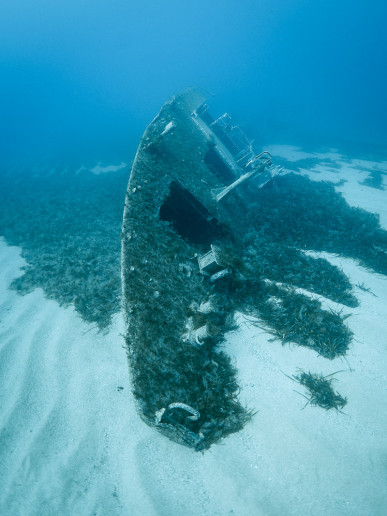 Remains of P33