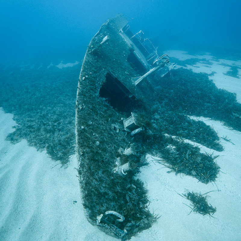 Remains of P33
