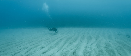 A diver above sandy bottom