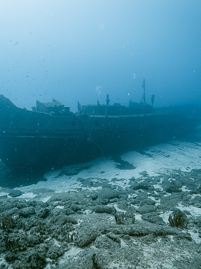 Tugboat 10