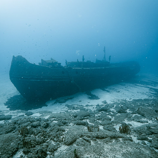 Tugboat 10